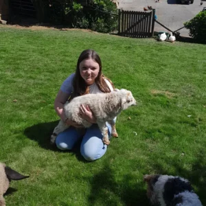 Lily and Teddy Lamb